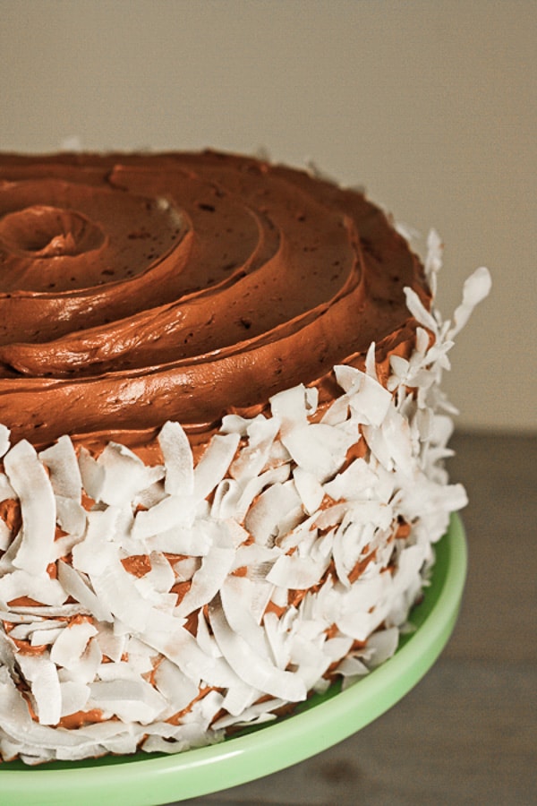 A close up of a chocolate coconut cake