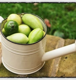 Green Tomato Ketchup