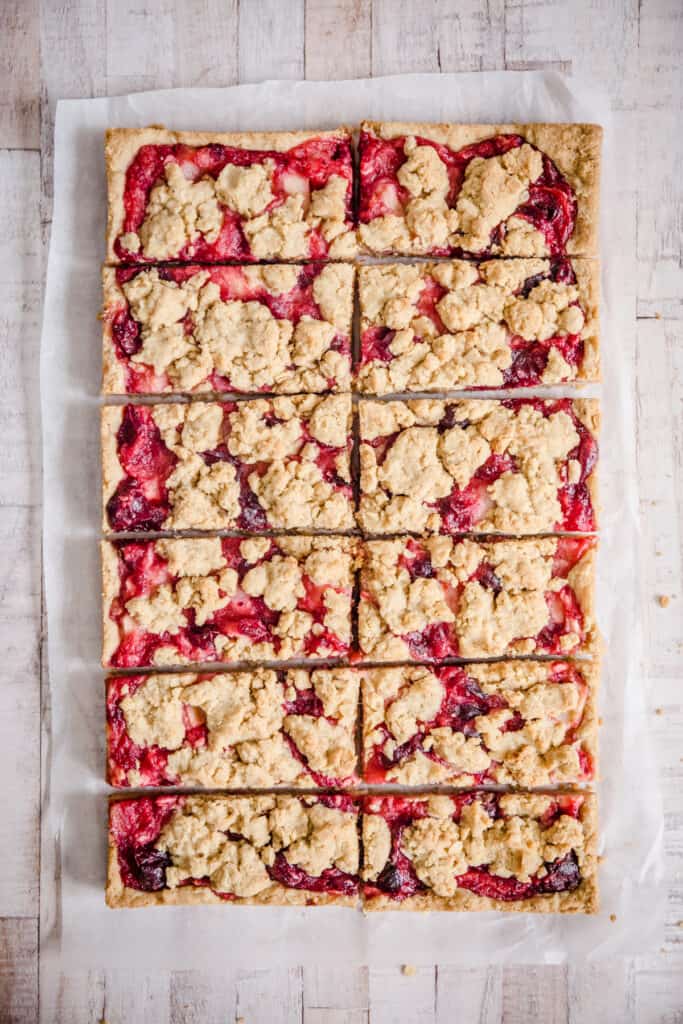 overhead of apple cranberry bars on a white surface