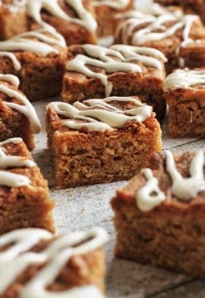 Snickerdoodle and Marshmallow Blondies
