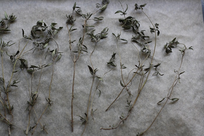 dried thyme on baking parchment