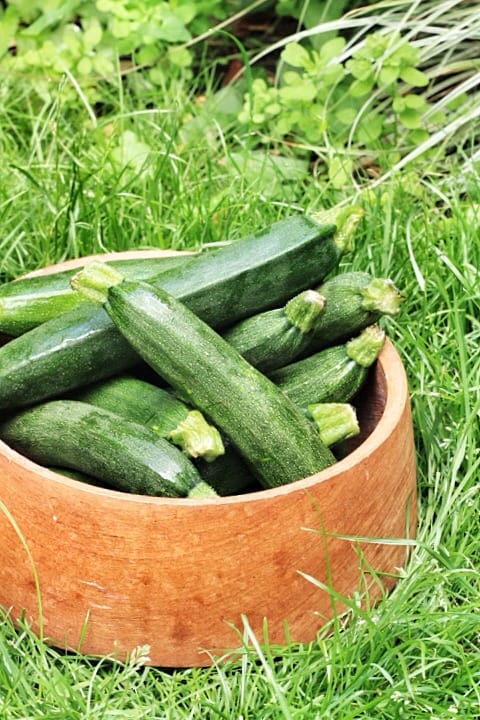 courgettes in a wooden bowl on the grass