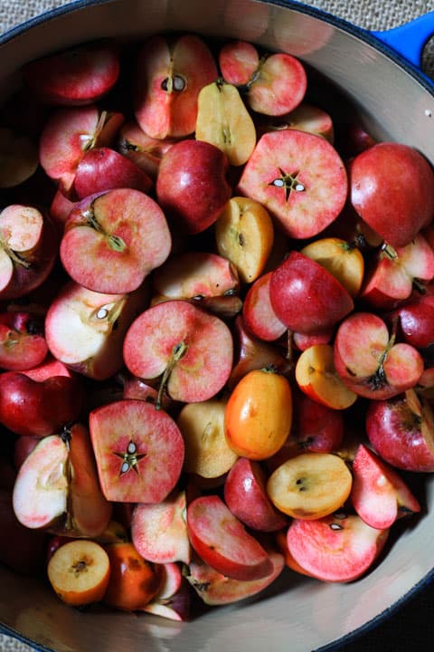 A bowl of apples