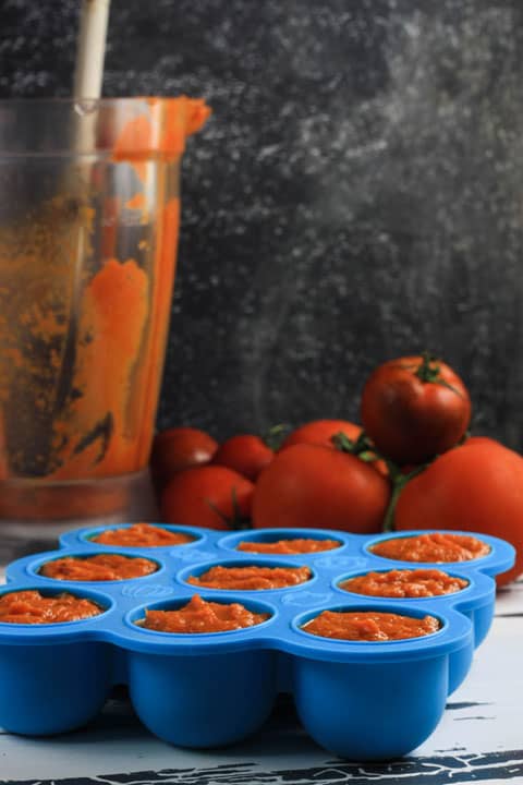 tomato sauce in a silicone mould next to tomatoes and empty blender