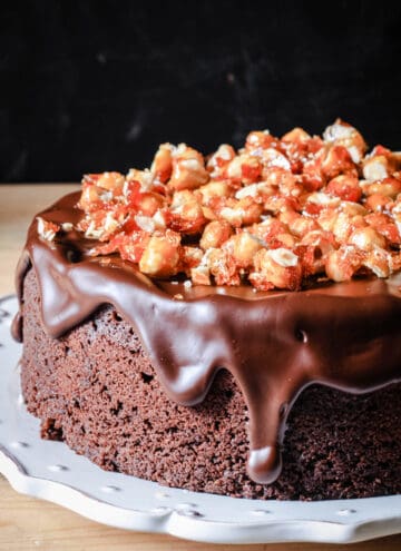 Decadent Chocolate Hazelnut Cake {gluten-free}