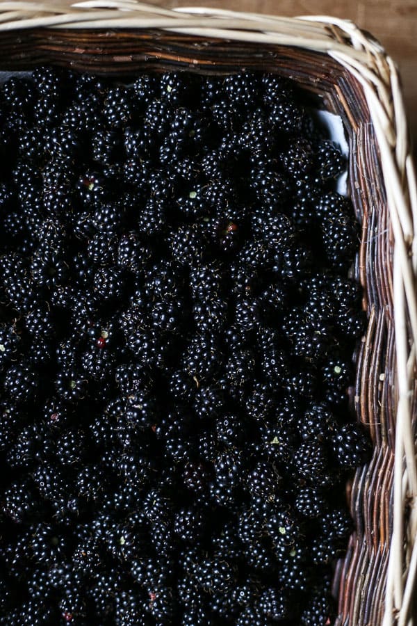 A close up of a blackberries