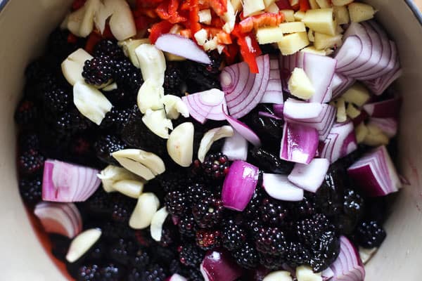 ingredients for hoisin sauce close up