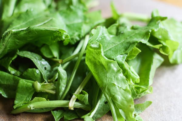 A close up of a sorrel