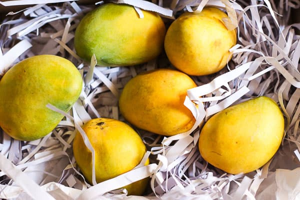 mangos in shredded paper