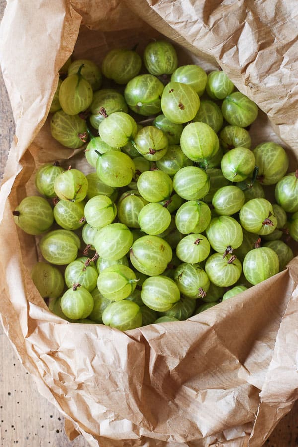 Overhead shot in gooseberries in paper bag