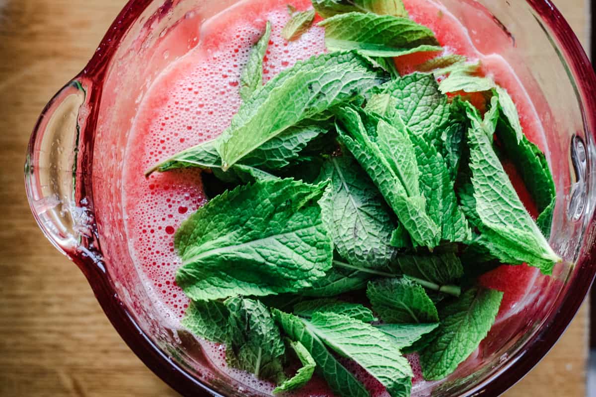 Watermelon Mint Granita in the blender