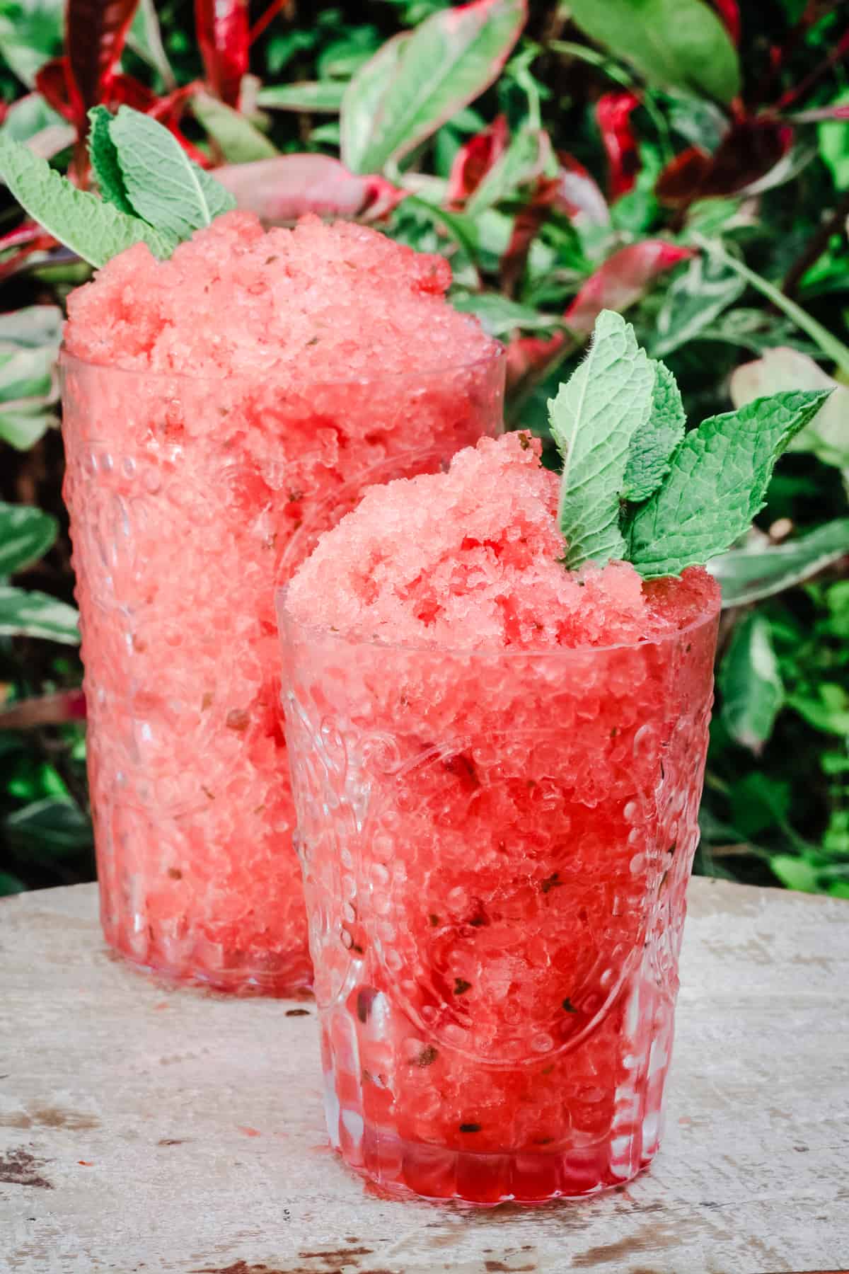 Glasses of Watermelon Mint Granita on a table in front of plants