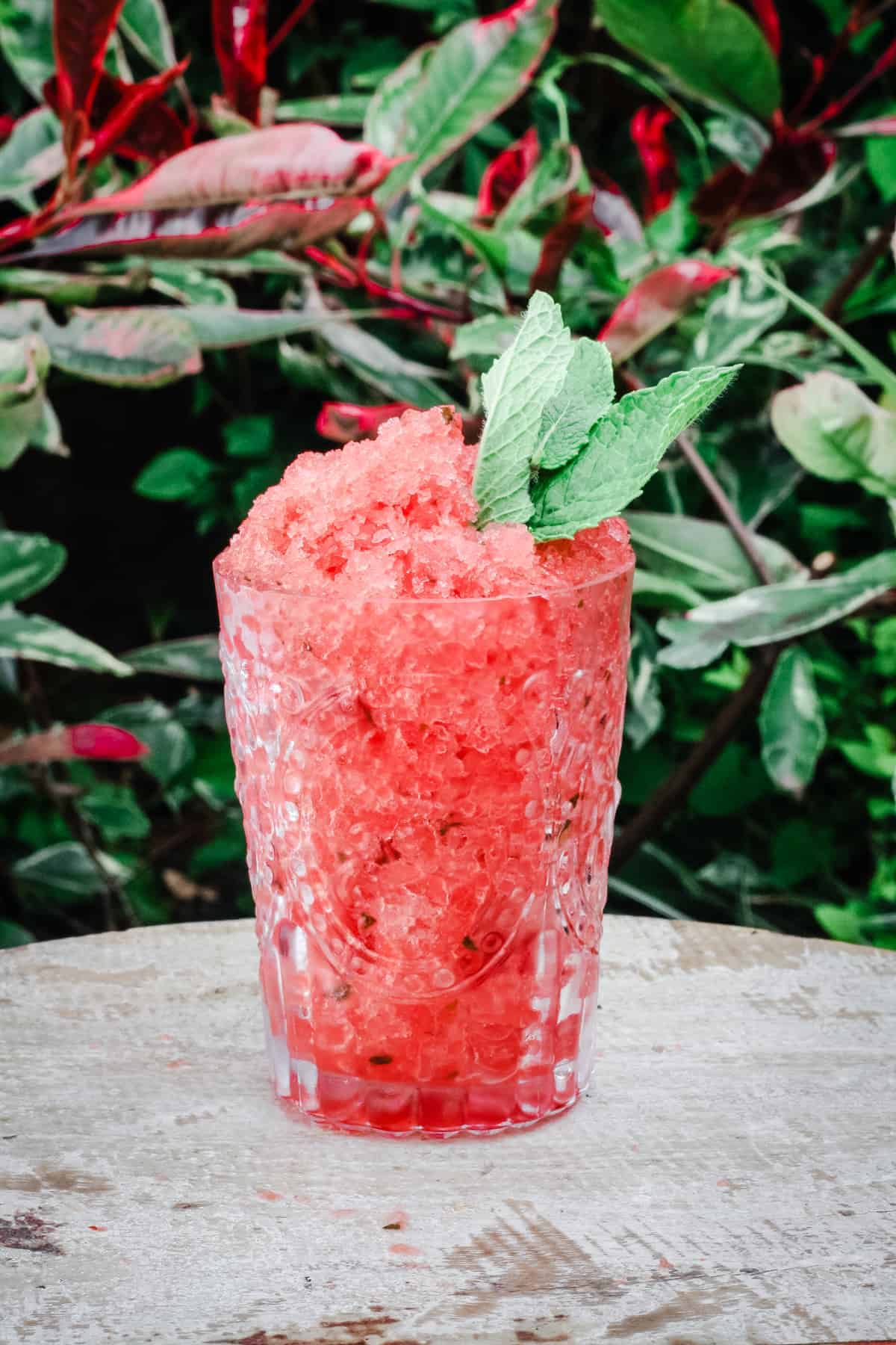 A glass of Watermelon Mint Granita on a table in front of plants