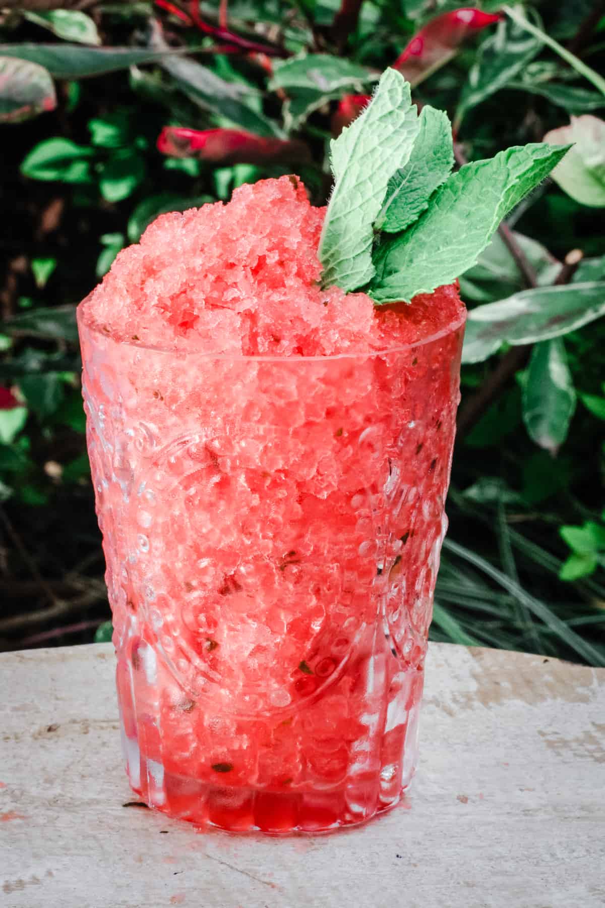 A glass of Watermelon Mint Granita on a table in front of plants