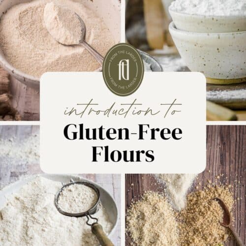 Images of gluten-free flours with text saying Introduction To Gluten-Free Flours