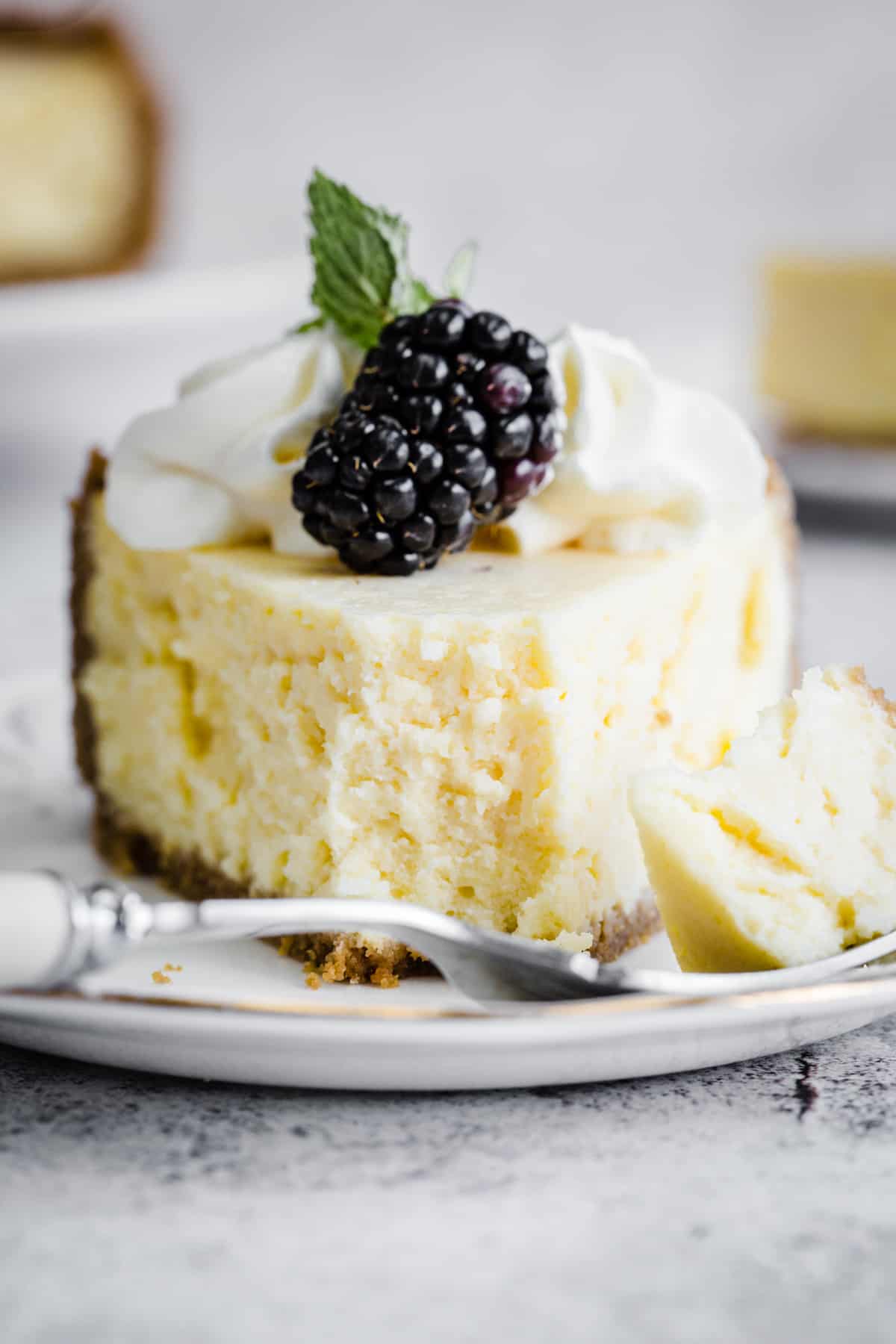 Cheddar Cheesecake From The Larder