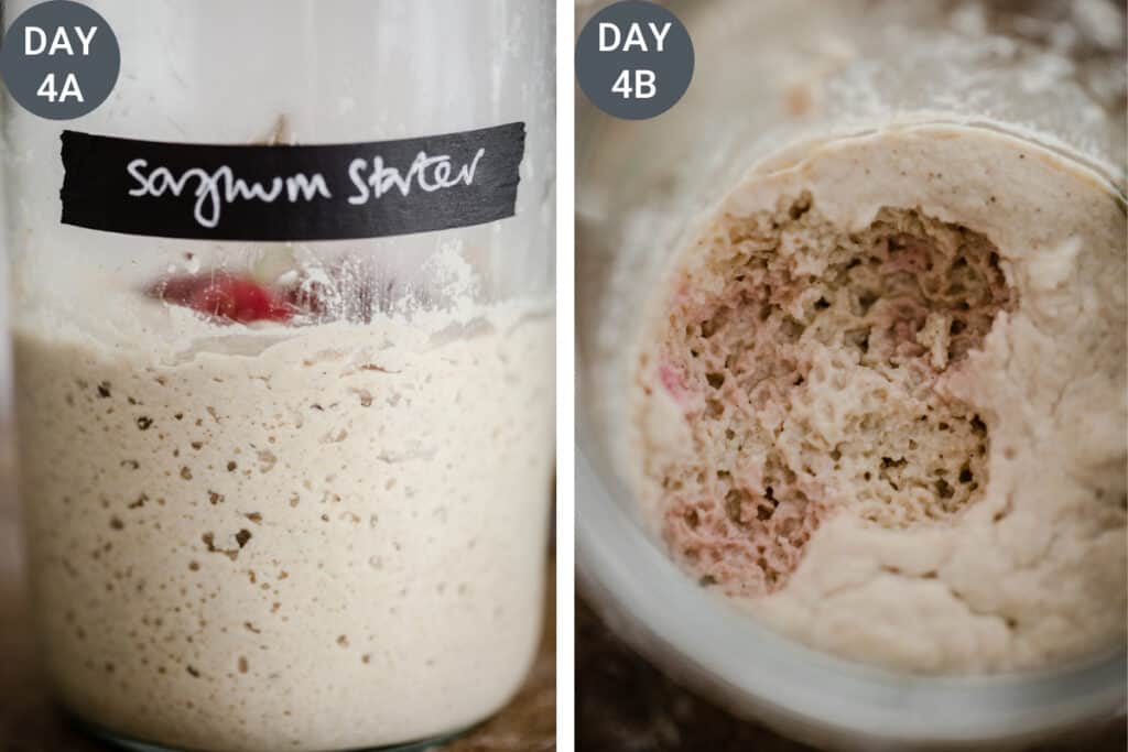 images showing the feeding of a sourdough starter. The starter being mixed.