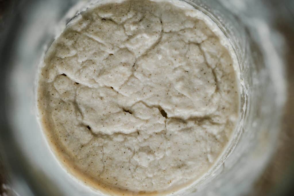 close up of sourdough starter on day 4 from above