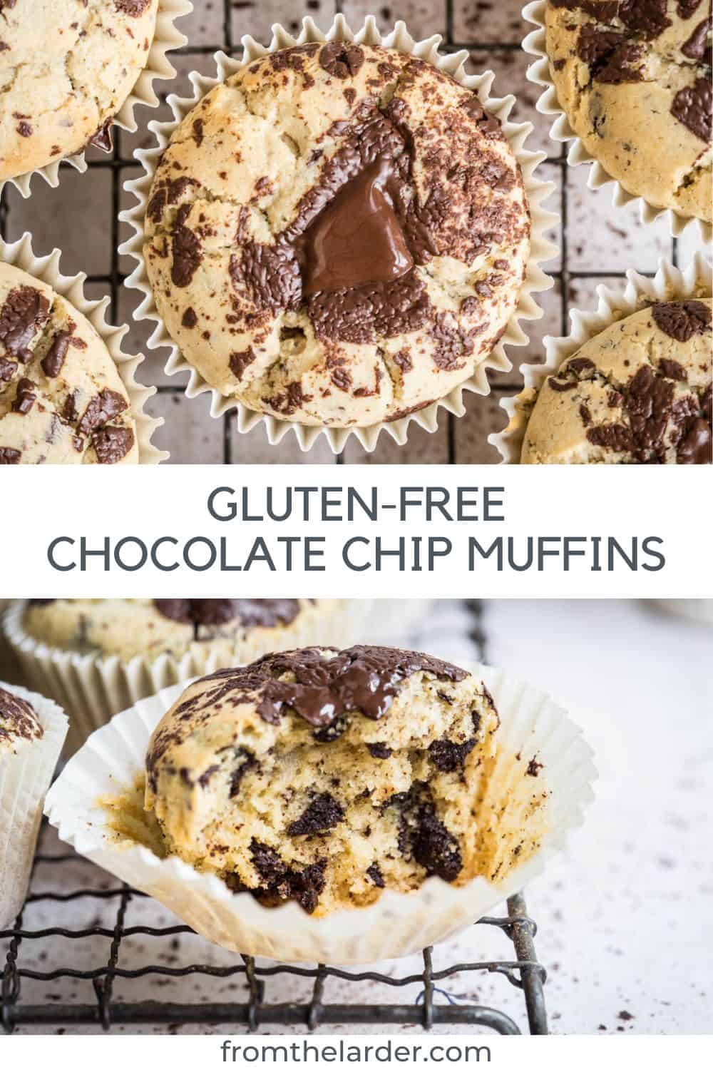 Easy Gluten-Free Chocolate Chip Muffins - From The Larder
