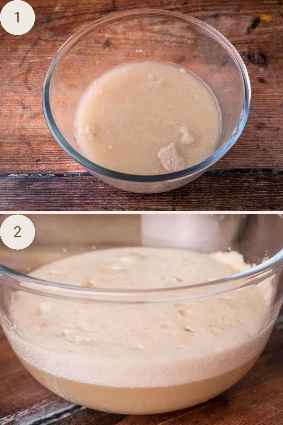Yeast and brown sugar activating in a bowl, beautifully frothy after 15 minutes.