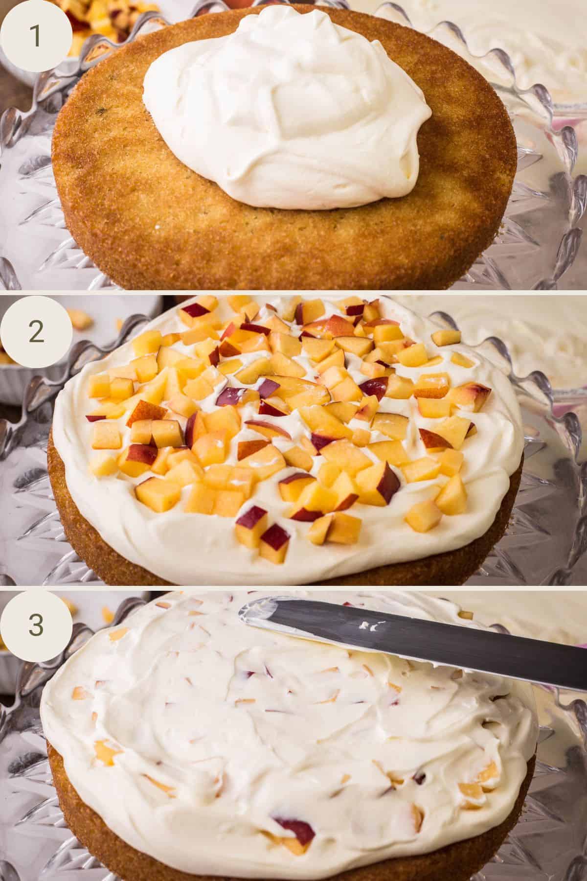 First layer of sponge added, covered with cream with nectarines pressed in then another spread of cream on top.