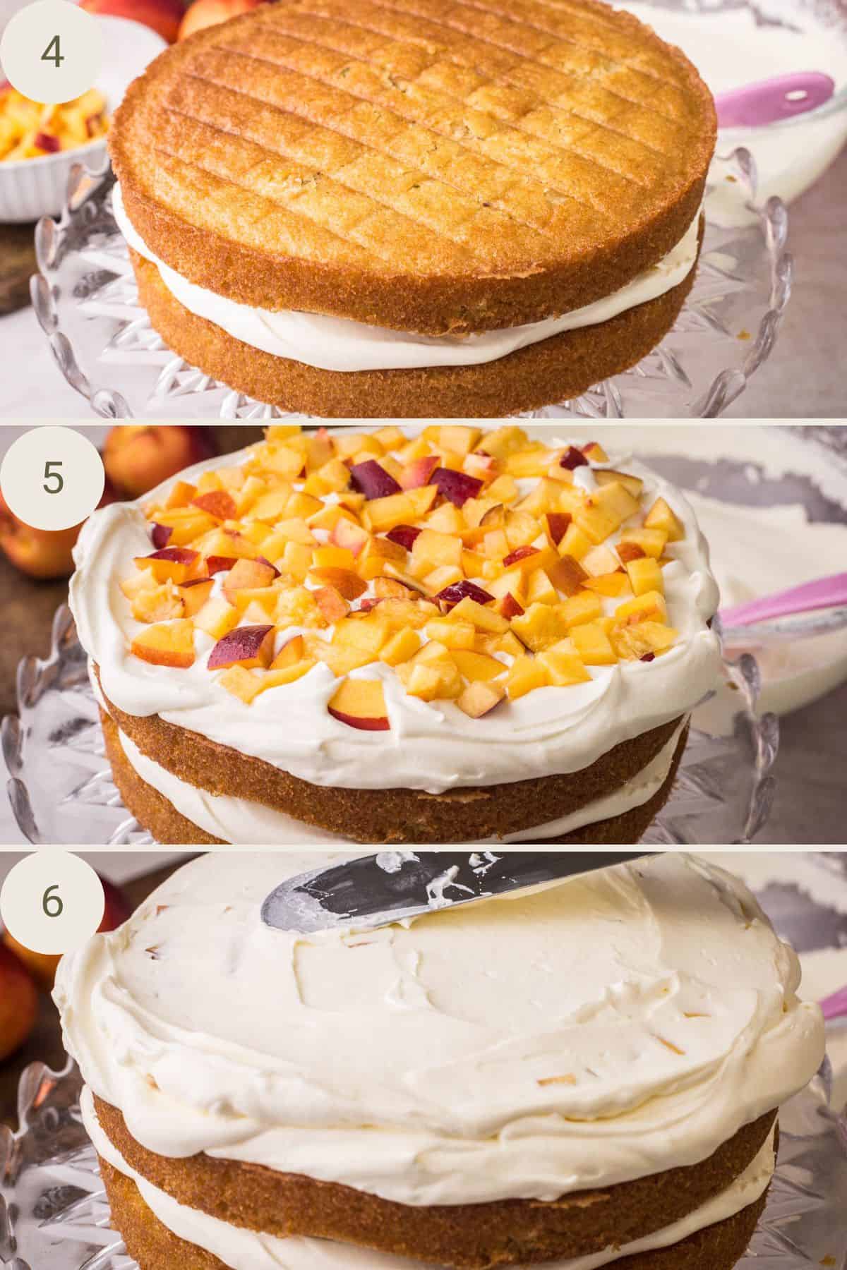 Second layer of sponge added, covered with cream with nectarines pressed in then another spread of cream on top.