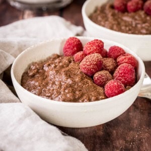 Chocolate Porridge in a bowl with fresh raspberries and dusting of cocoa powder.