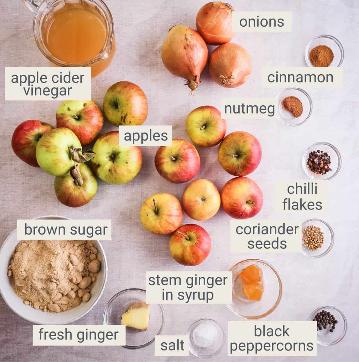 Homemade Apple and Ginger Chutney ingredients on table.