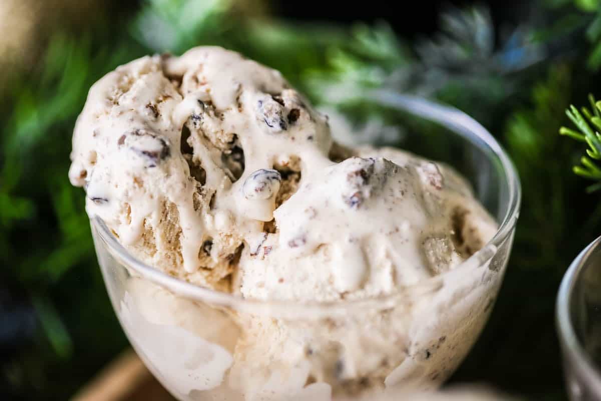 Melty Christmas Pudding Ice Cream in an ice cream bowl, lusciously creamy with christmas pudding studded throughout.