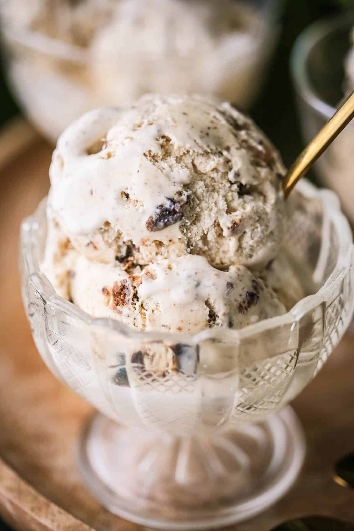 Christmas Pudding Ice Cream in an ice cream bowl, lusciously creamy with christmas pudding studded throughout.
