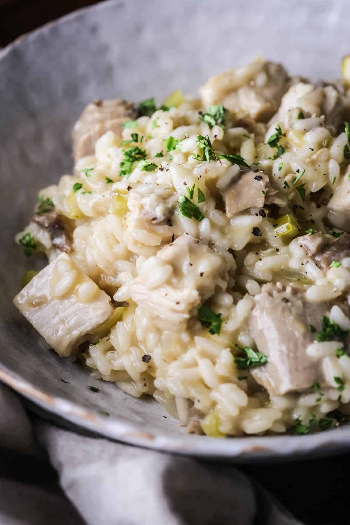 A bowl of silky Turkey Risotto showing creamy texture with juicy turkey.