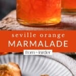 Pin image of Seville Orange Marmalade.