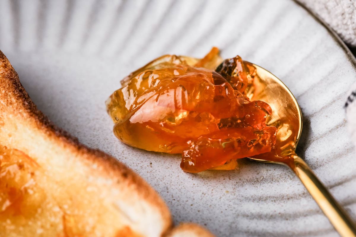 Teaspoonful of marmalade on plate showing perfect set.