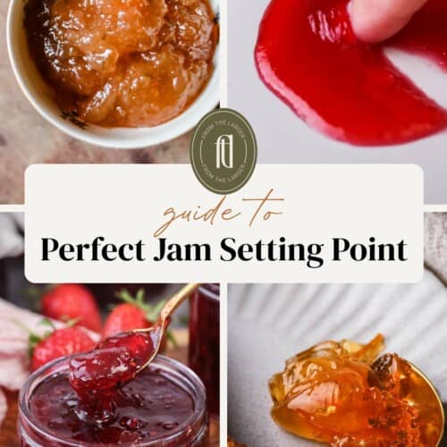 Pin image for Jam Setting Point Guide