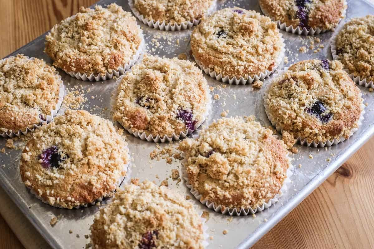 Blueberry Muffins freshly out of the oven still in their baking tin.