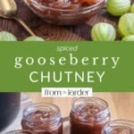 Spiced Gooseberry Chutney pin image.