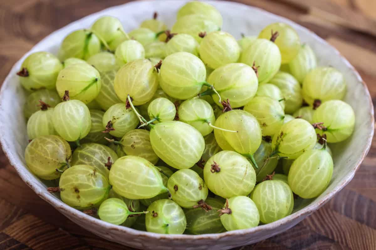 Fresh summer gooseberries in a bowl.
