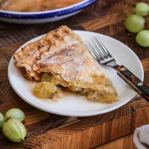 A slice of gooseberry pie on a plate showing crisp buttery pastry and a filling spilling out with juicy fruit.