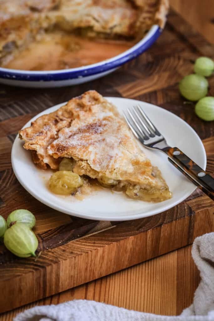 A slice of gooseberry pie on a plate showing crisp buttery pastry and a filling spilling out with juicy fruit.