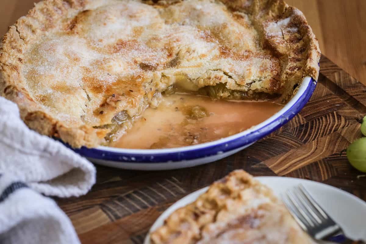 Gooseberry Pie cut warm from the oven so the juices spill out, showing thick and juicy fruit inside.