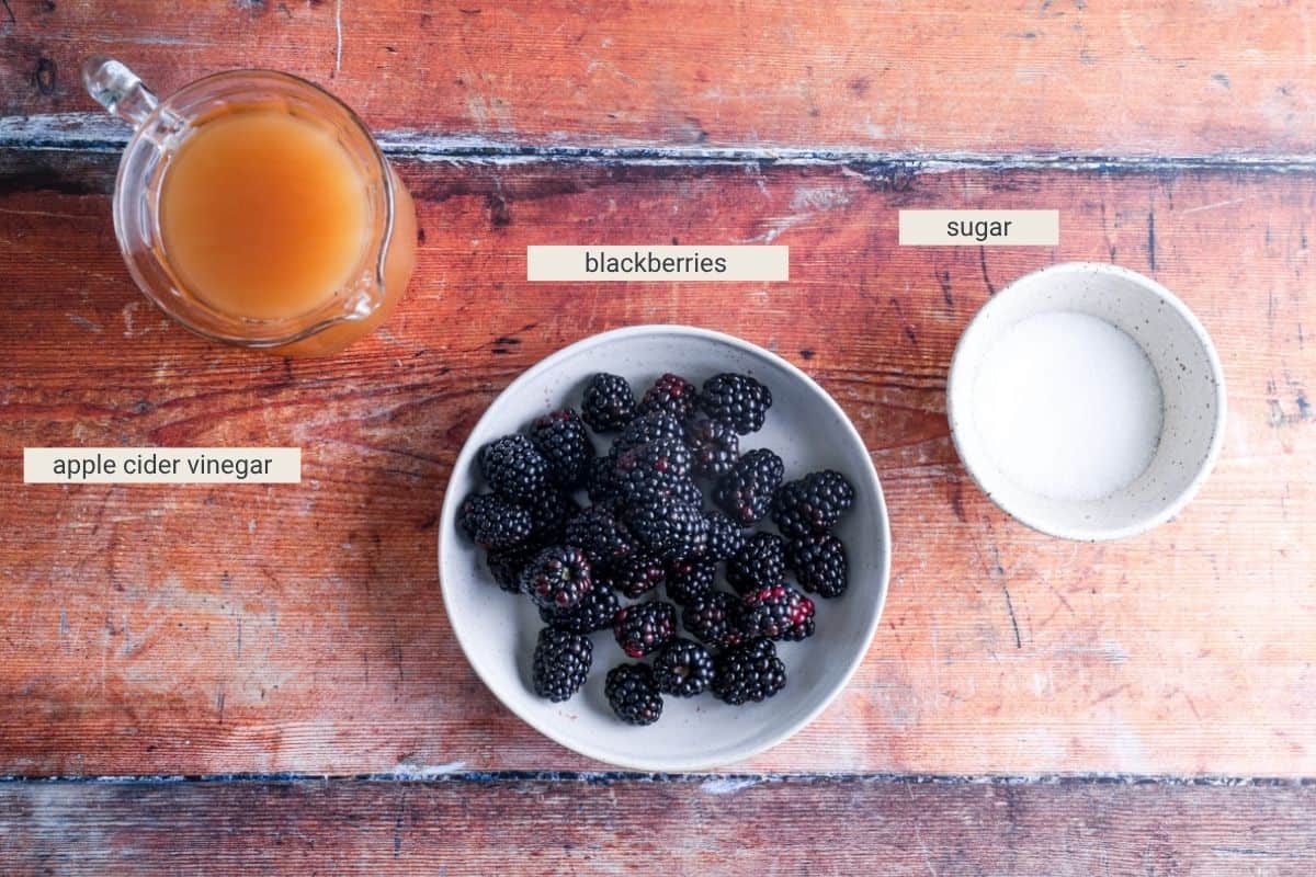 Blackberry Vinegar ingredients on table.