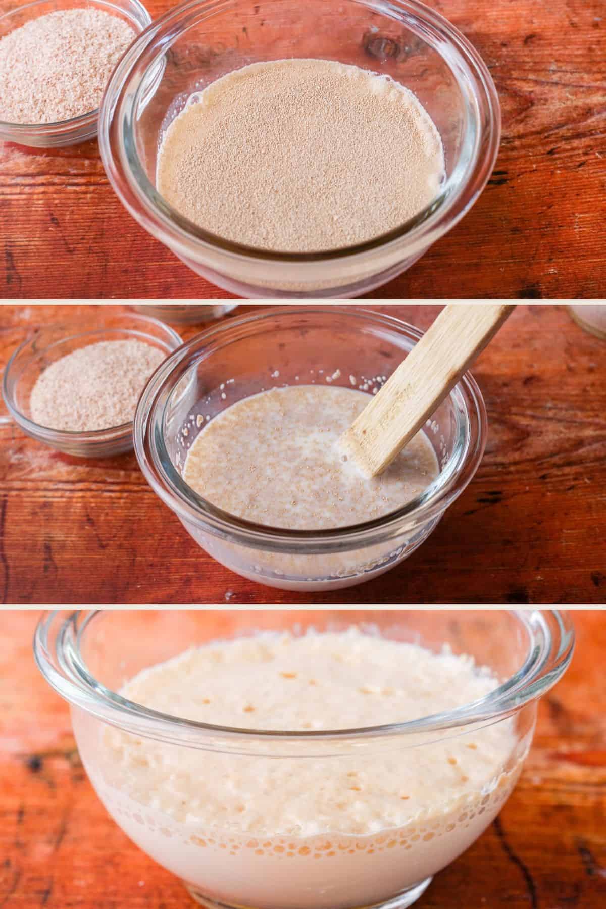 Yeast, sugar and warm milk mixed together then left for 15 minutes to become thick and bubbly.
