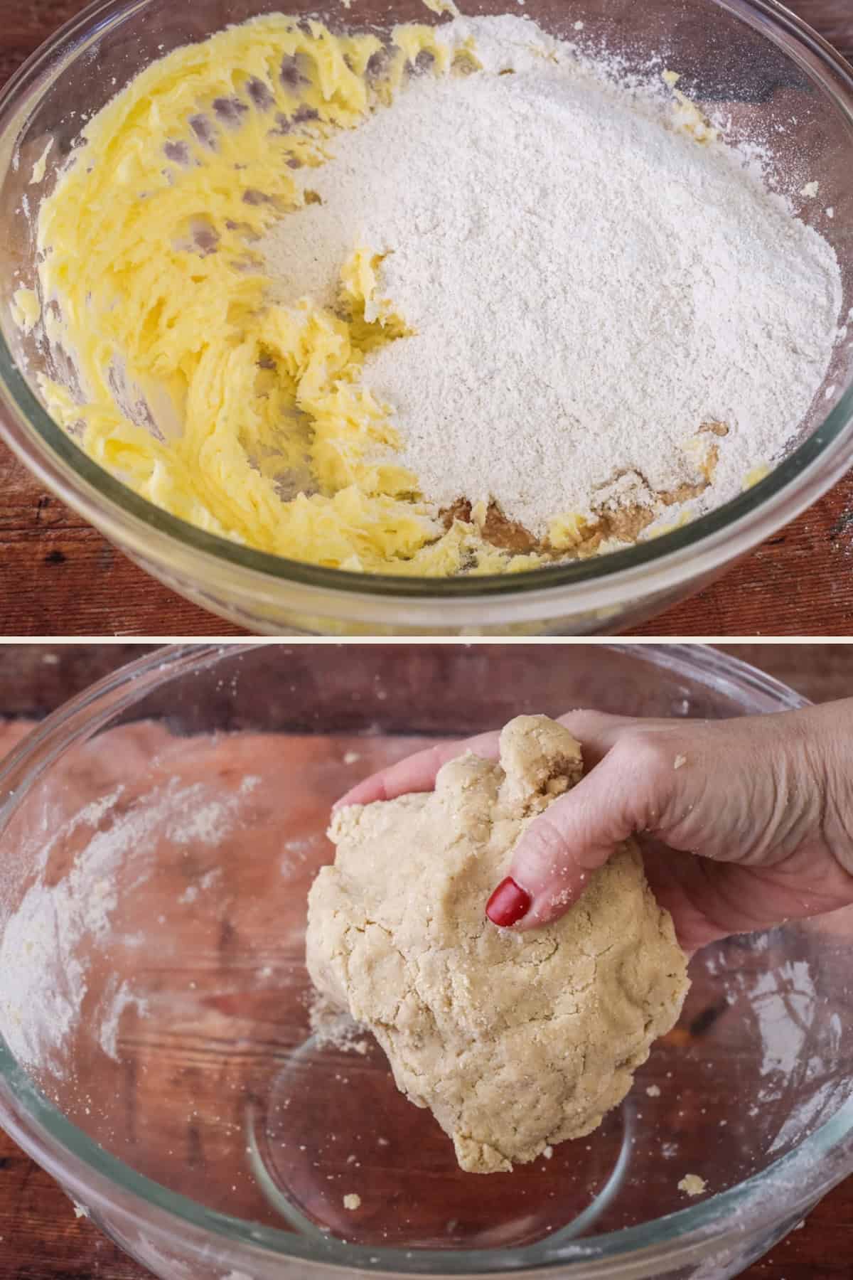 Flour blend and vanilla added to creamed butter and sugar and brought into a dough.