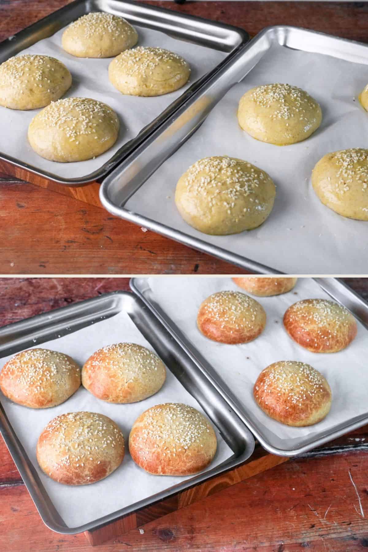 Burger buns brushed with egg wash and scattered with sesame seeds. After baking in the oven - golden brown.