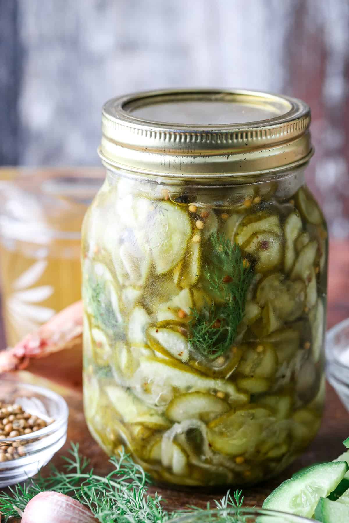 Sealed jar filled with pickled cucumbers and shallots and fresh dill.