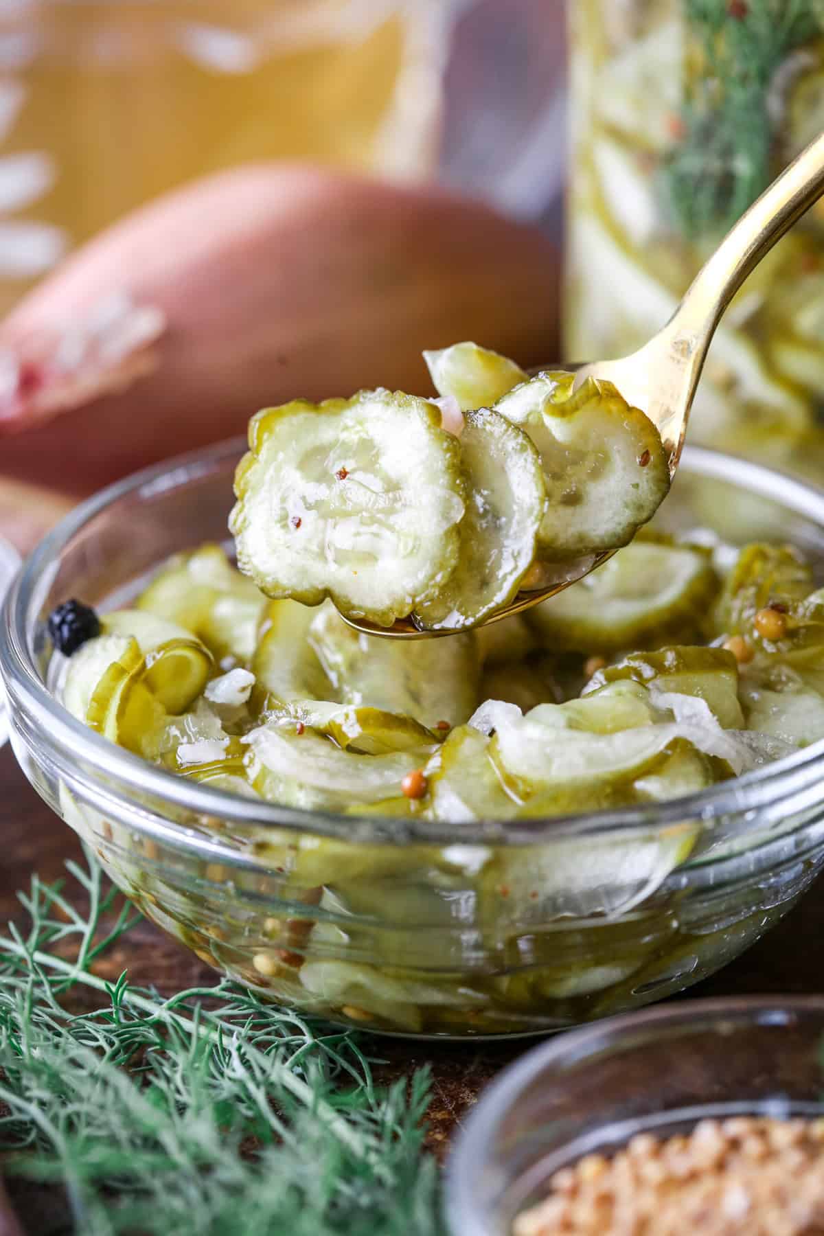 Spoon lifting out a portion of pickled cucumber and shallot.