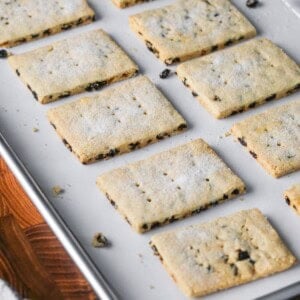 Garibaldi Biscuits on baking tray showing sugary top and chewy curranty insides.
