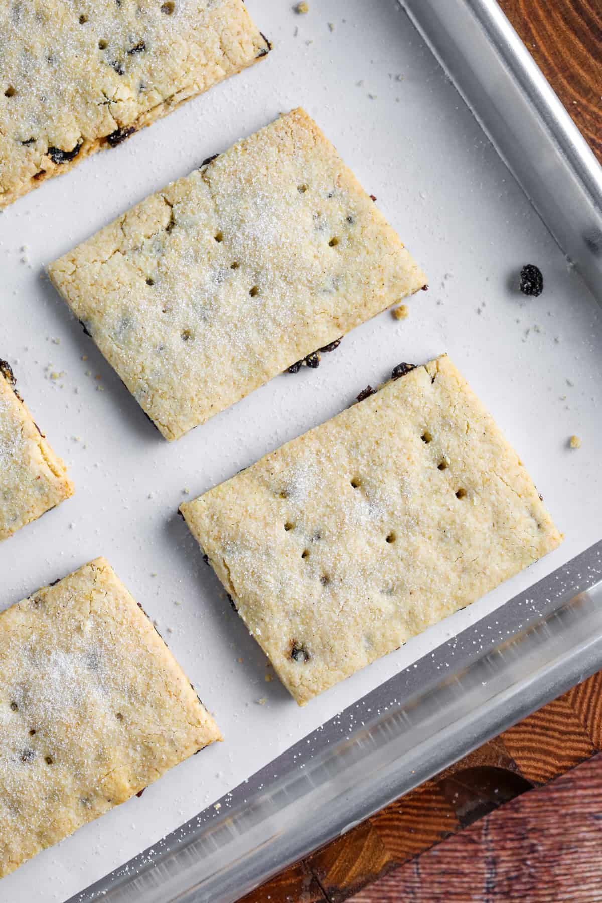 Gluten Free Garibaldi Biscuits on baking tray, very neat and uniform looking.