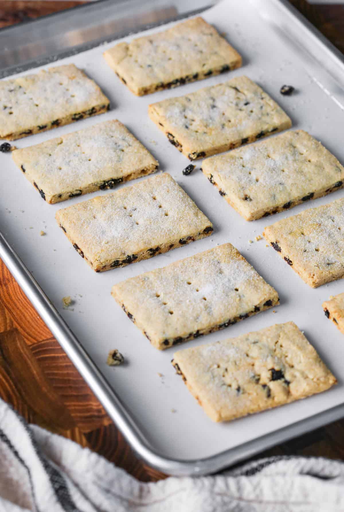 Large baking tray full of freshly baked Garibaldi Biscuits.