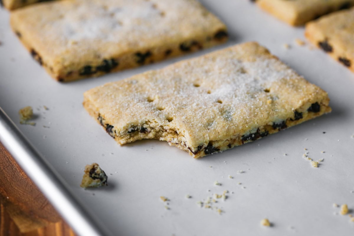 Gluten Free Garibaldi Biscuit with bite taken out showing perfect crumb.